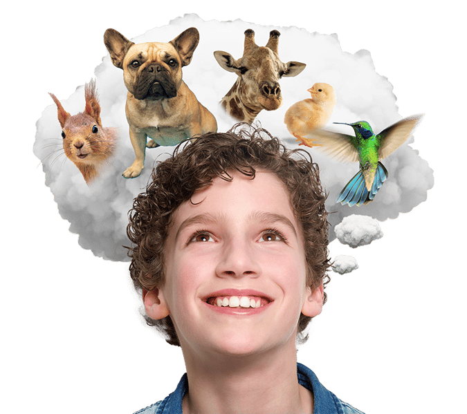 Smiling young boy, cloud on top of his head as if he is thinking about several animals both domestic and wild